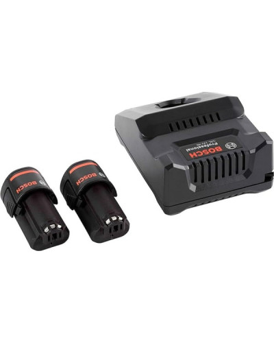 Акумулятор Bosch Professional 2 х GBA 12V 2.0Ah + з/п GAL 12V-40