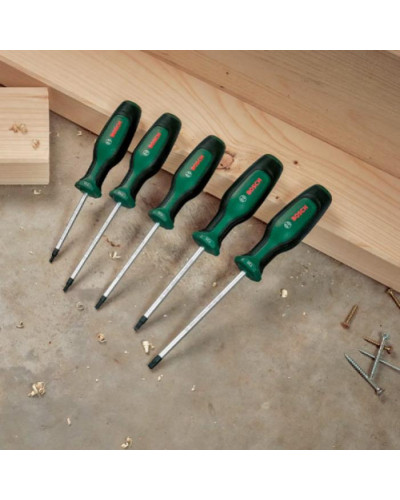 Набір викруток Bosch Torx, 5 шт