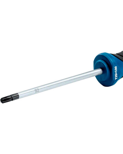 Викрутка Bosch T25 Professional 100 мм