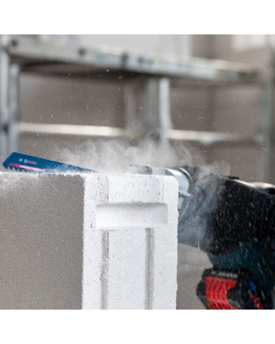 Пиляльне полотно Bosch Expert S 2041 HM