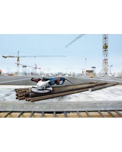 Кутова шліфувальна машина Bosch GWS 24-230 LVI Professional